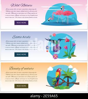 Bannière oiseau tropical horizontal avec flamants roses colibri et illustration du vecteur isolé parrot Illustration de Vecteur