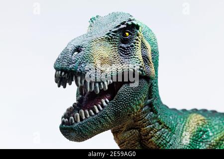 tête d'un dinosaure jouet à bouche ouverte sur blanc arrière-plan Banque D'Images
