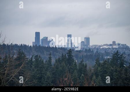 Vue panoramique sur Seattle le jour d'hiver. Banque D'Images