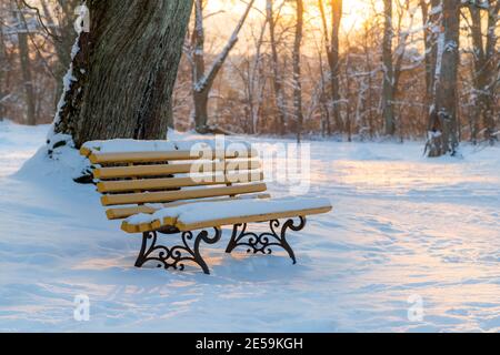 Banc couvert de neige dans le parc au coucher du soleil en hiver. Soirée ensoleillée et froide dans le parc. Banque D'Images