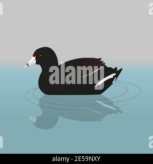 Un coq américain ou une poule de boue nageant dans l'eau Illustration de Vecteur