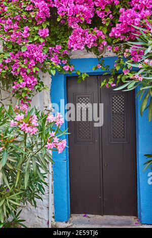 Bougainvillea fleurs autour de la maison avec un balcon et tsvetami.MiMykonos. Banque D'Images