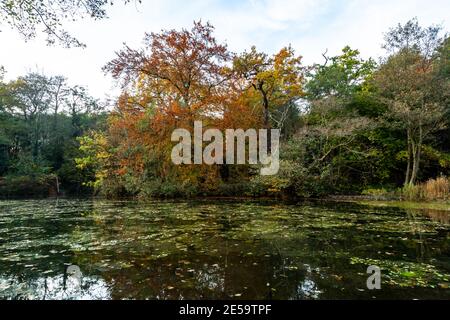 Un lac brumeux à Dudley, Royaume-Uni Banque D'Images