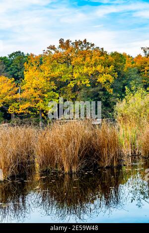 Un lac brumeux à Dudley, Royaume-Uni Banque D'Images