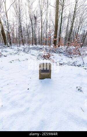 Pierre de dédicace. Promenade dans la neige le long de la forêt de Dean Sculpture Trail, Speech House Woods, Gloucestershire. Banque D'Images