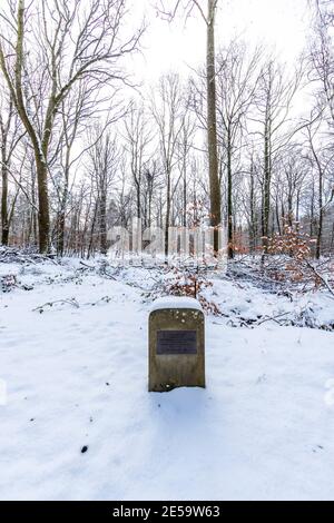 Pierre de dédicace. Promenade dans la neige le long de la forêt de Dean Sculpture Trail, Speech House Woods, Gloucestershire. Banque D'Images