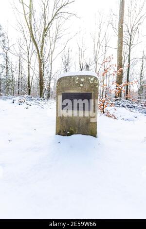 Pierre de dédicace. Promenade dans la neige le long de la forêt de Dean Sculpture Trail, Speech House Woods, Gloucestershire. Banque D'Images