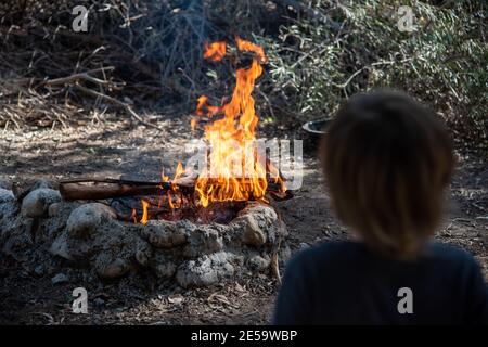 Cuisson des pommes de terre cuites au feu dans des plats chauds. Enterrés de savoureux légumes dans le papier aluminium dans le feu de camp lors du pique-nique. Plats végétariens à l'extérieur. Pommes de terre frites au feu, barbecue. Nourriture en forêt, dîner en soirée. Photo de haute qualité Banque D'Images