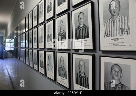 Photographies au Mémorial d'Auschwitz Birkenau (Pologne) Banque D'Images