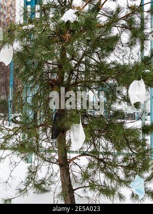 les masques jetables utilisés sont suspendus sur le petit arbre de pin sur la rue de la ville en hiver Banque D'Images