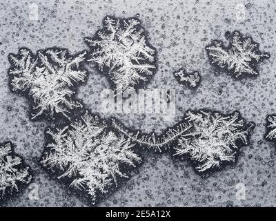 arrière-plan naturel - plusieurs flocons de neige sur le panneau de la fenêtre gros plan par temps froid d'hiver Banque D'Images