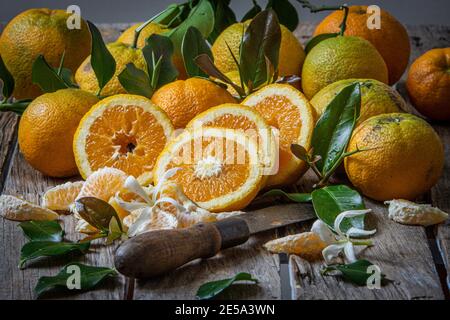 plusieurs oranges biologiques cultivées sans insecticides ni engrais Banque D'Images