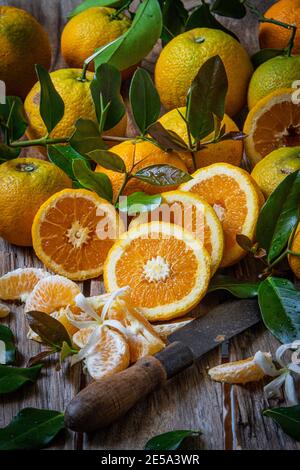 plusieurs oranges biologiques cultivées sans insecticides ni engrais Banque D'Images