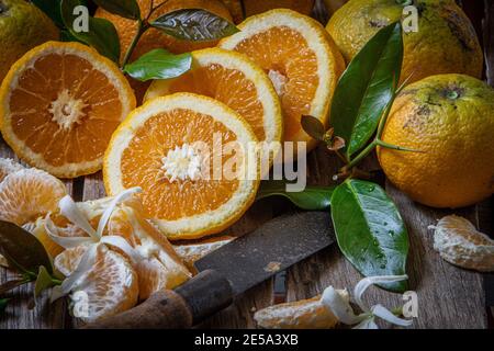 plusieurs oranges biologiques cultivées sans insecticides ni engrais Banque D'Images