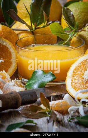 plusieurs oranges biologiques cultivées sans insecticides ni engrais Banque D'Images