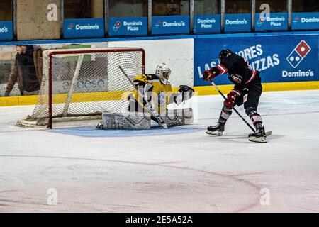 MAJADAHONDA, ESPAGNE - 14 novembre 2020: Match de hockey sur glace masculin entre SAD Majadahonda et CG Puigcerda tenu à la patinoire la Nevera à Majadahonda sur non Banque D'Images
