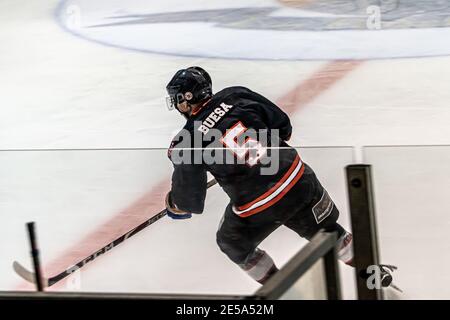 MAJADAHONDA, ESPAGNE - 14 novembre 2020: Match de hockey sur glace masculin entre SAD Majadahonda et CG Puigcerda tenu à la patinoire la Nevera à Majadahonda sur non Banque D'Images