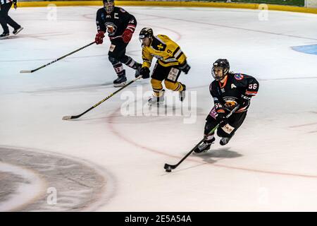 MAJADAHONDA, ESPAGNE - 14 novembre 2020: Match de hockey sur glace masculin entre SAD Majadahonda et CG Puigcerda tenu à la patinoire la Nevera à Majadahonda sur non Banque D'Images