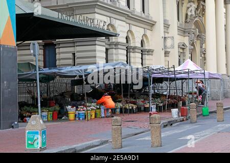 Adderley Street Flower Market, également connu sous le nom de Trafalgar place Flower Market au Cap, en Afrique du Sud. Banque D'Images