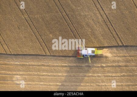 Vue aérienne de haut en bas d'une récolteuse moissonnant du blé Un champ agricole en Finlande Banque D'Images
