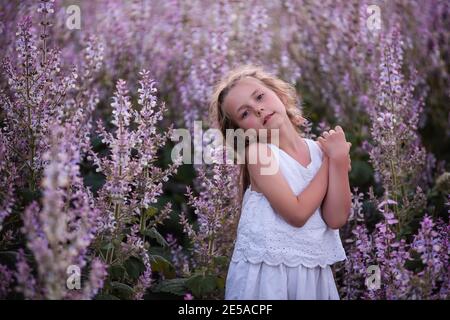 Gros plan Portraits d'une petite fille avec de longs cheveux coulant dans le champ de sauge rose en fleur. Blond rêveur blanc sodress. Fond floral au coucher du soleil Banque D'Images