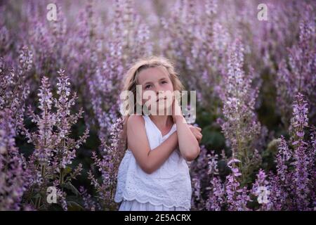 Gros plan Portraits d'une petite fille avec de longs cheveux coulant dans le champ de sauge rose en fleur. Blond rêveur blanc sodress. Fond floral au coucher du soleil Banque D'Images