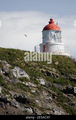 Phare de la réserve naturelle de Taiaroa Head. Péninsule d'Otago. Otago. Île du Sud. Nouvelle-Zélande. Banque D'Images