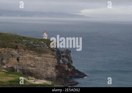 Falaise et phare de la réserve naturelle de Taiaroa Head. Péninsule d'Otago. Otago. Île du Sud. Nouvelle-Zélande. Banque D'Images