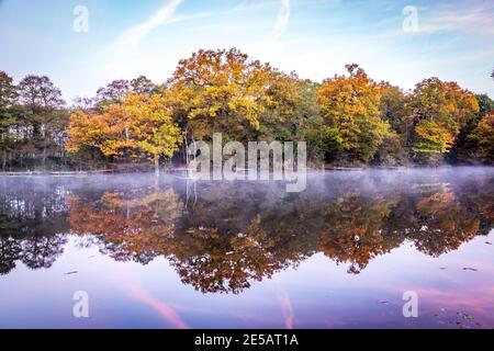 Les belles couleurs d'automne en Angleterre Banque D'Images