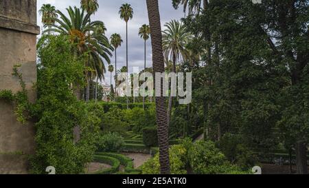 Les vastes jardins de l'Alcazar royal Banque D'Images