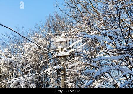 branches d'arbres recouvertes de neige et poteau de ligne électrique en béton dans le village le jour d'hiver ensoleillé Banque D'Images