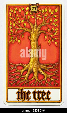 LA CARTE D'ARBRE d'un lot de cartes Psy - Le Grand jeu du cœur humain Banque D'Images