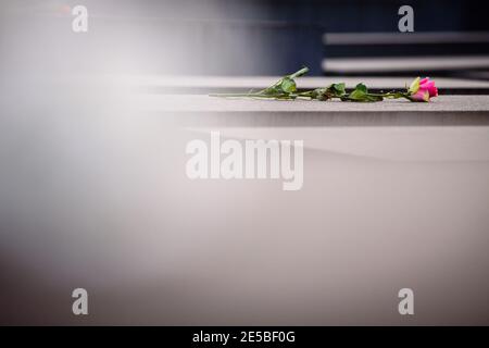 Berlin, Allemagne. 27 janvier 2021. Allemagne, Berlin, le 27 janvier 2021 : une fleur est placée sur une dalle de béton au Mémorial des Juifs d'Europe assassinés (allemand : Denkmal für die ermordeten Juden Europas), également connu sous le nom de Mémorial de l'Holocauste (allemand : Holocauste-Mahnmal) lors de la Journée internationale du souvenir de l'Holocauste. Le 27 janvier 2021 marque la Journée internationale de commémoration en mémoire des victimes de l'Holocauste, 76 ans après la libération du camp de concentration nazi d'Auschwitz. (Photo de Jan Scheunert/Sipa USA) crédit: SIPA USA/Alay Live News Banque D'Images