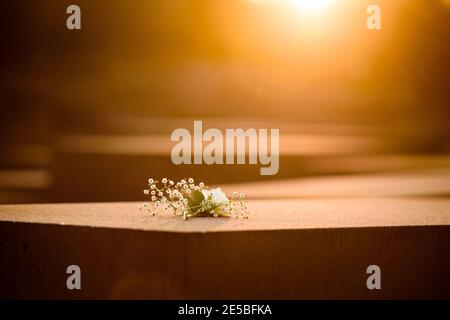 Berlin, Berlin, Allemagne. 27 janvier 2021. Une fleur est placée sur une dalle de béton au Mémorial des Juifs d'Europe assassinés (en allemand : Denkmal für die ermordeten Juden Europas), également connu sous le nom de Mémorial de l'Holocauste (en allemand : Holocauste-Mahnmal) lors de la Journée internationale du souvenir de l'Holocauste. Le 27 janvier 2021 marque la Journée internationale de commémoration en mémoire des victimes de l'Holocauste, 76 ans après la libération du camp de concentration nazi d'Auschwitz. Crédit : Jan Scheunert/ZUMA Wire/Alay Live News Banque D'Images