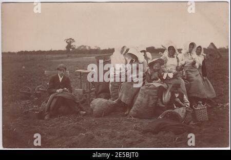 Cueilleurs de pommes de terre en pause : ouvriers agricoles pour femmes et enfants assis dans le champ, ayant de la nourriture et des boissons (y compris une bouteille de cidre et une théière/cafetière), Grande-Bretagne du début du XXe siècle Banque D'Images