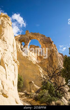 Grosvenor Arch, Grand Staircase-Escalante National Monument, Utah, USA. Banque D'Images