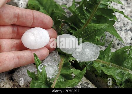 Grandes pierres de grêle sur la main d'une femme dans un tempête Banque D'Images