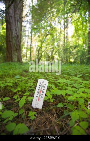 Une image conceptuelle d'un thermomètre collé dans le sol montrant une température élevée illustrant le changement climatique global / réchauffement de la planète. Banque D'Images