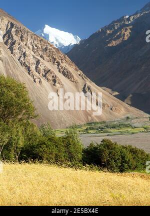 Champ de céréales dans la vallée de Wakhan, les montagnes Hindoukush et Pamir, la région de Gorno-badakhshan, le Tadjikistan et la frontière afghane Banque D'Images