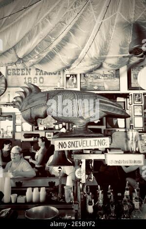 Green Parrot Bar à Key West, Floride, États-Unis. Le point le plus méridional dans la zone continentale des États-Unis. Destination de vacances sur l'île pour un tourisme détendu. Banque D'Images