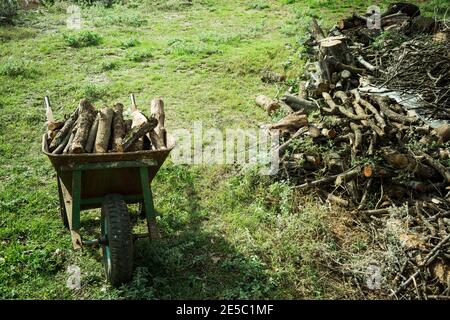 Une vieille brouette rouillée chargée de bois de chauffage sec haché dans un tas se dresse sur le sol contre un fond de billes empilées et d'herbe verte. Préparation Banque D'Images