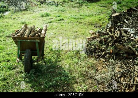 Une vieille brouette rouillée chargée de bois de chauffage sec haché dans un tas se dresse sur le sol contre un fond de billes empilées et d'herbe verte. Préparation Banque D'Images