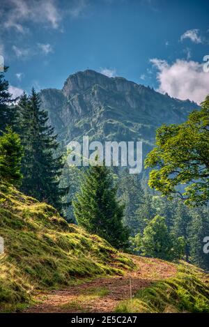 Randonnée dans la nature suisse et la région montagneuse de Speer, Federispitz, Chuemettler, Grappehorn Banque D'Images