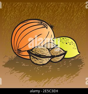 Ensemble de fruits - Cantaloup, noix et citron - Illustration numérique dessinée à la main Illustration de Vecteur