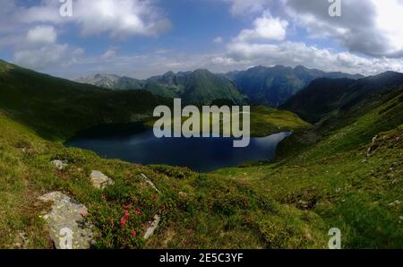 belles fleurs rouges sur la prairie avec les montagnes et la montagne vue panoramique sur les lacs Banque D'Images