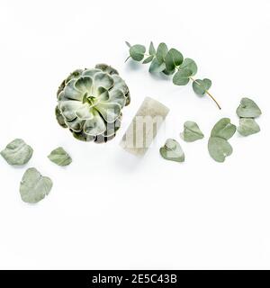 eucalyptus vert succulent, bougie, feuilles isolées sur fond blanc. flat lay, vue de dessus Banque D'Images