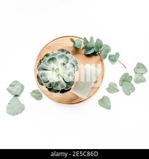 eucalyptus vert succulent, bougie, feuilles isolées sur fond blanc. flat lay, vue de dessus Banque D'Images