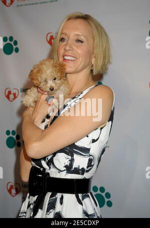 Felicity Huffman participe à la conférence de presse pour lancer l'entraînement « 2008 Iams Home 4 The Holidays PET adoption » avec un objectif de 1 million d'animaux de compagnie adoptés, organisé par le Helen Woodward Animal Center à Animal Haven à New York City, NY, USA le 6 octobre 2008. Photo de David Miller/ABACAPRESS.COM Banque D'Images