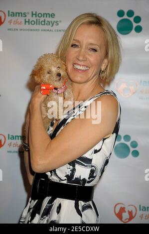 Felicity Huffman participe à la conférence de presse pour lancer l'entraînement « 2008 Iams Home 4 The Holidays PET adoption » avec un objectif de 1 million d'animaux de compagnie adoptés, organisé par le Helen Woodward Animal Center à Animal Haven à New York City, NY, USA le 6 octobre 2008. Photo de David Miller/ABACAPRESS.COM Banque D'Images