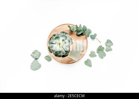 eucalyptus vert succulent, bougie, feuilles isolées sur fond blanc. flat lay, vue de dessus Banque D'Images